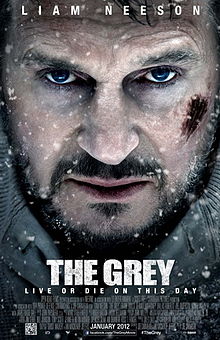 14. 220px-The_Grey_Poster