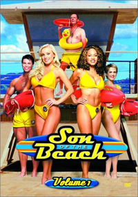 7. 200px-SonoftheBeach